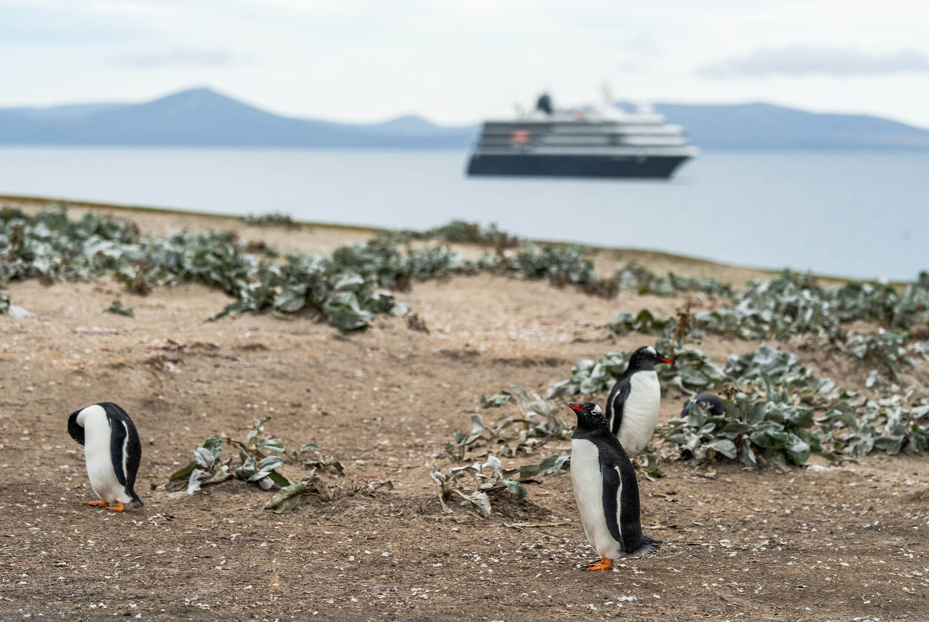 Buenos Aires To Ushuaia