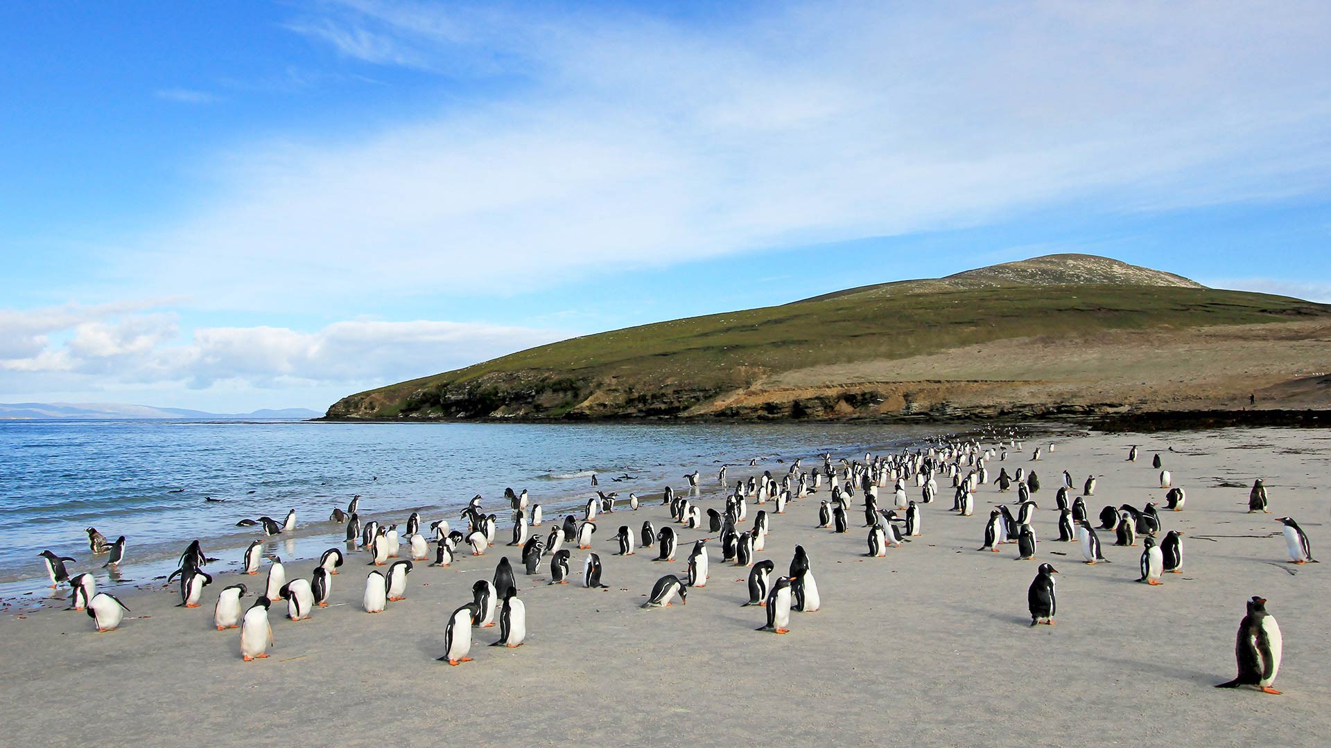 Buenos Aires To Ushuaia