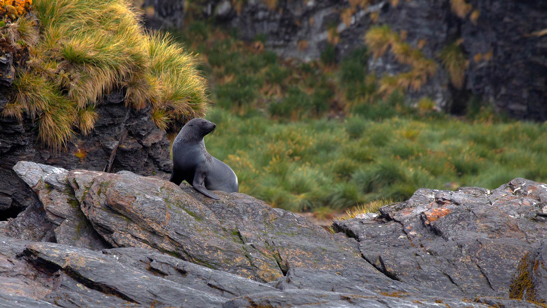 Ushuaia To Buenos Aires