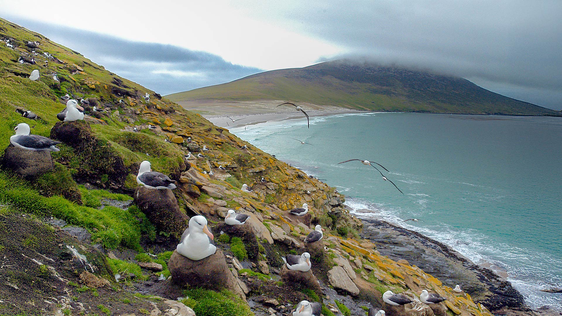 Ushuaia To Buenos Aires