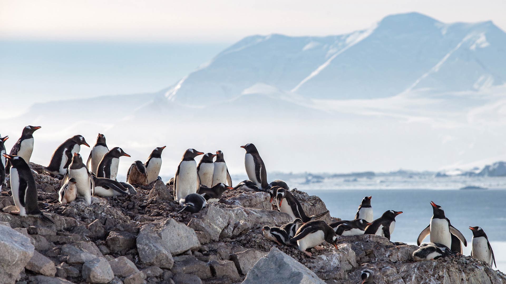 Ushuaia to King George Island