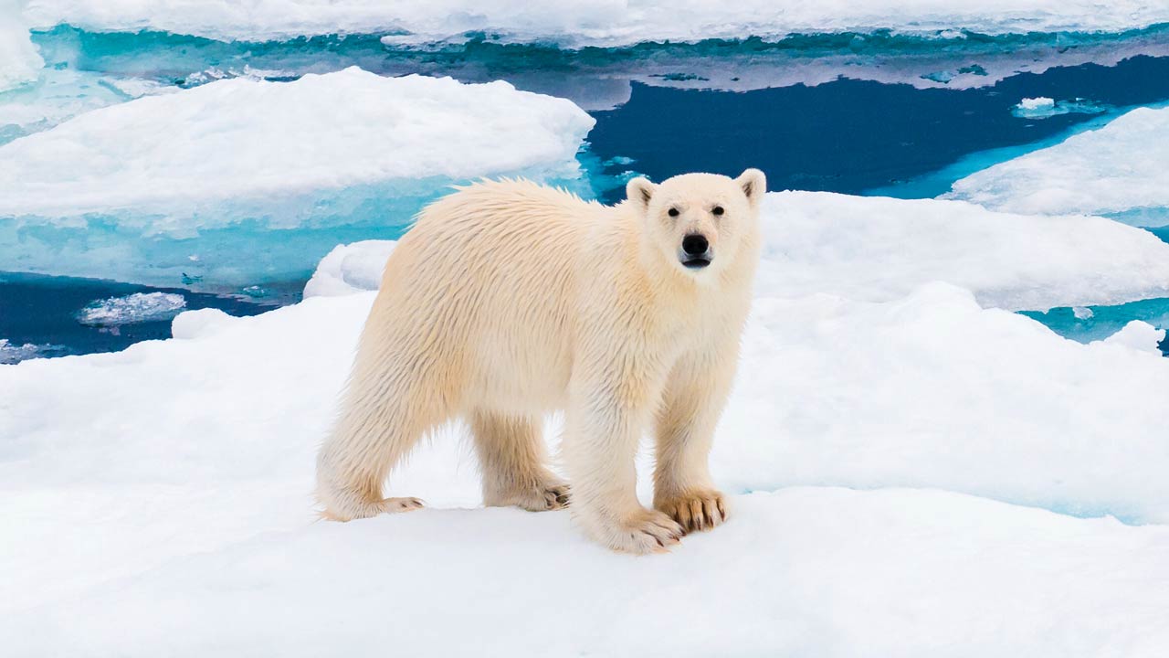 Tromsø to Longyearbyen