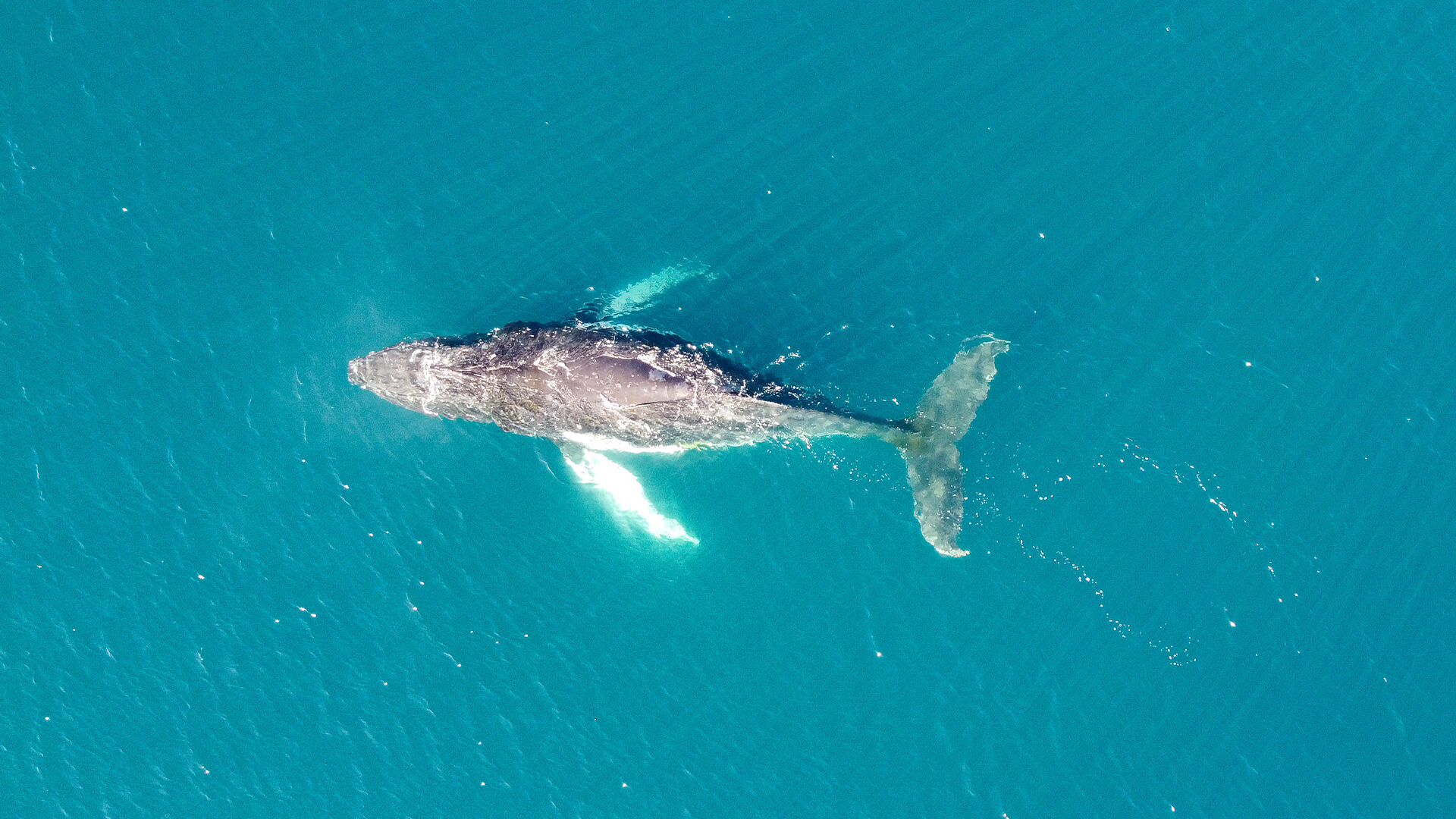 Ushuaia to King George Island