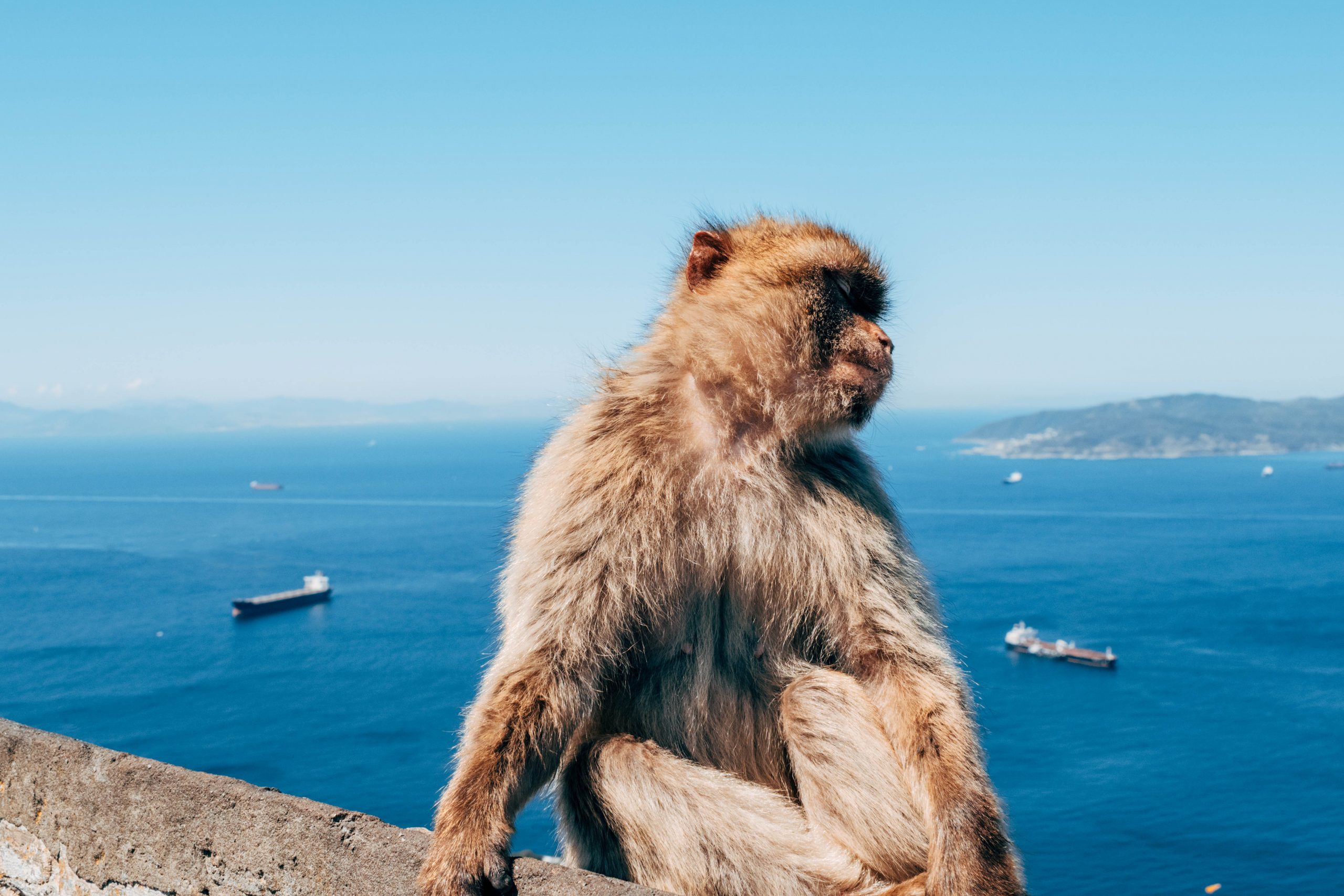 Itinerary photo