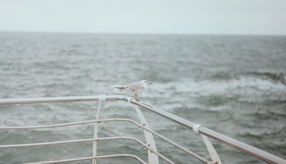 Itinerary photo
