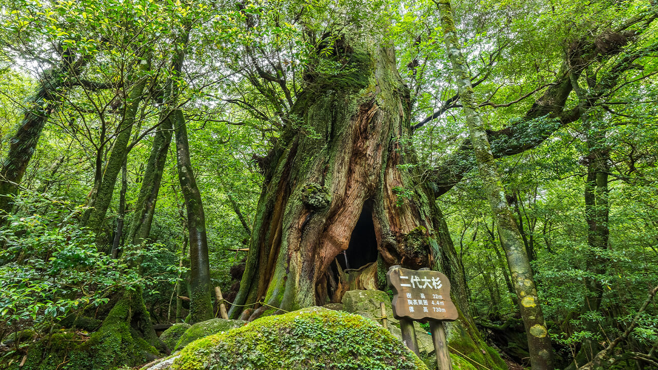 Itinerary photo
